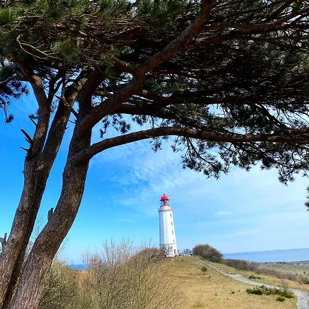 Apartment Haus An Der Heide Hiddensee
