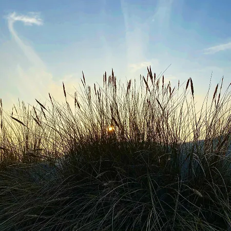 Apartment Haus An Der Heide Hiddensee